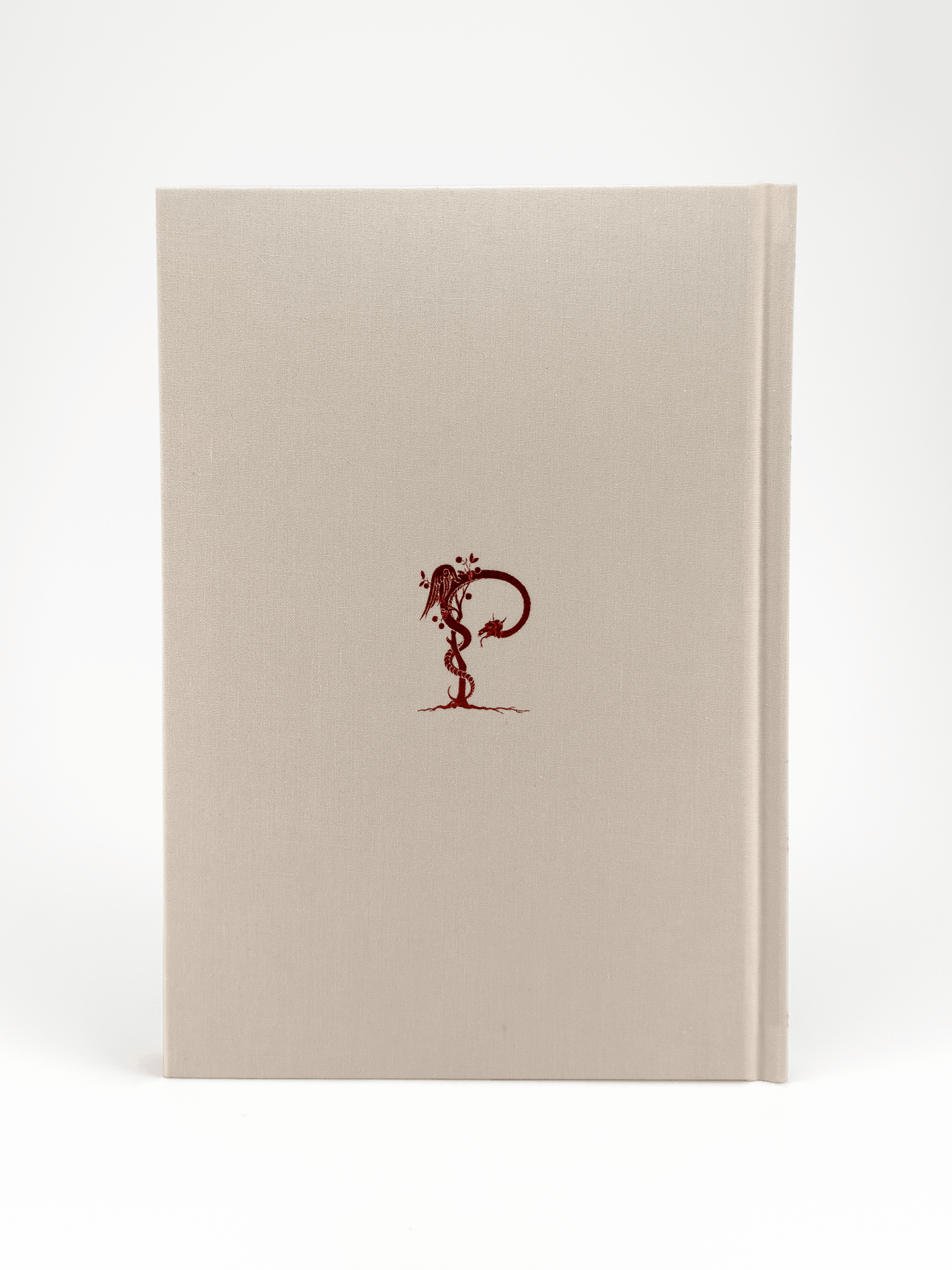 Bucket List en anglès - Imatge 2