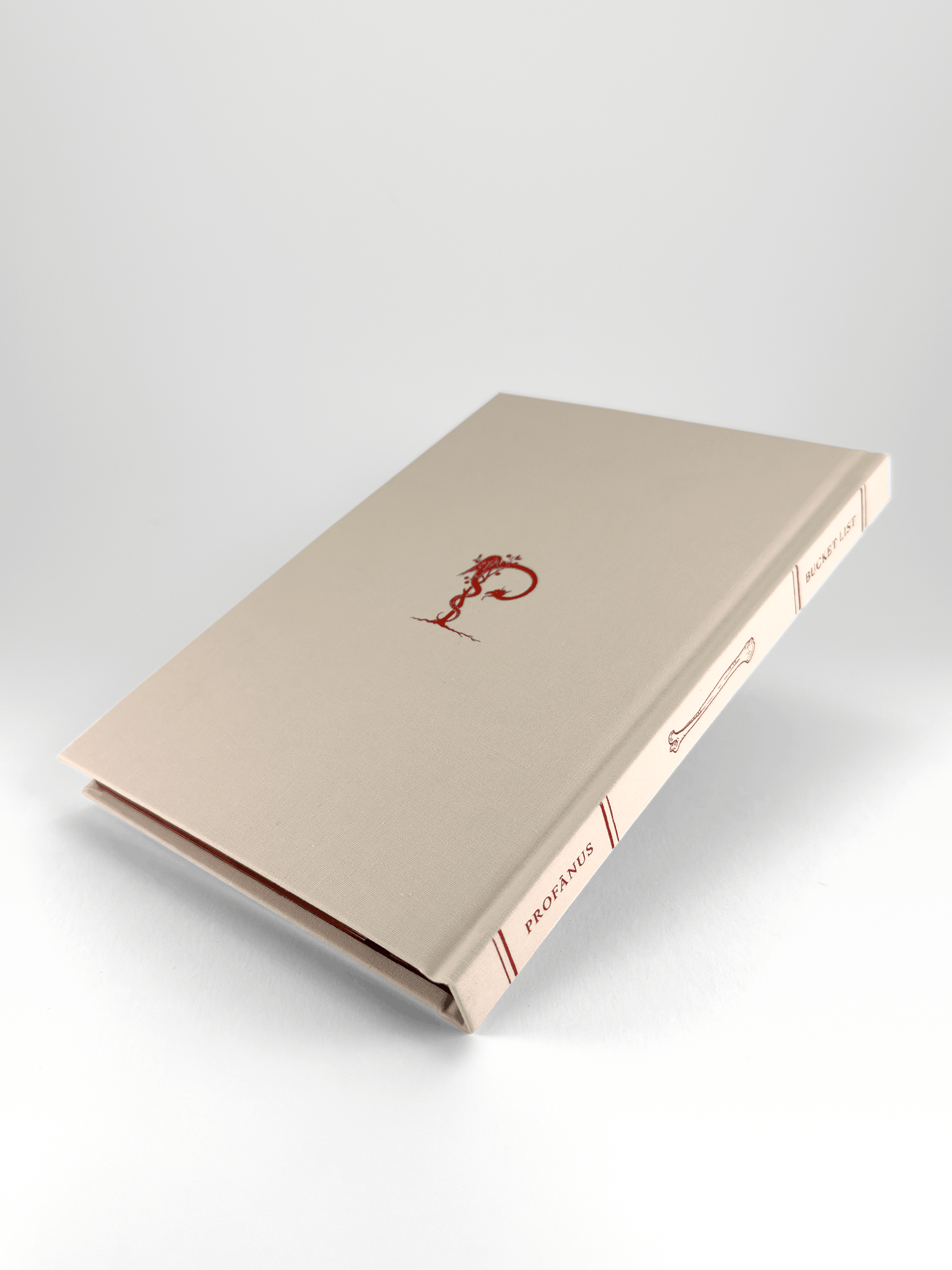 Bucket List en anglès - Imatge 5